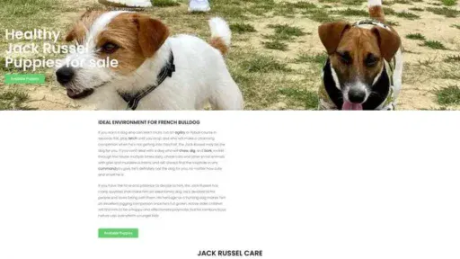 Screenshot of