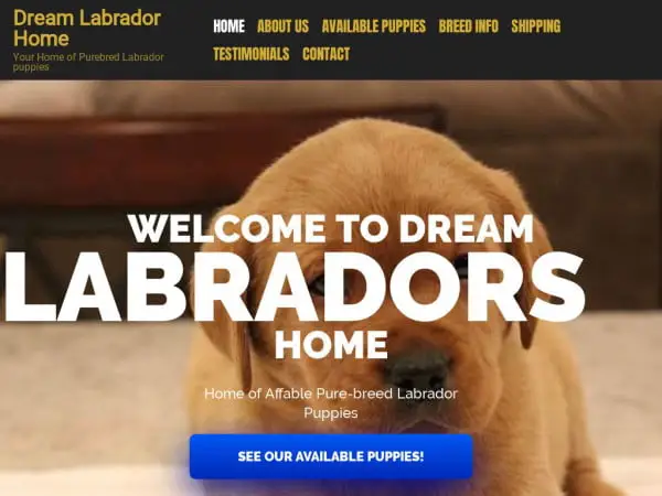 Screenshot of