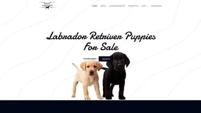 Screenshot of