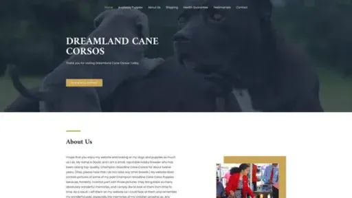 Screenshot of
