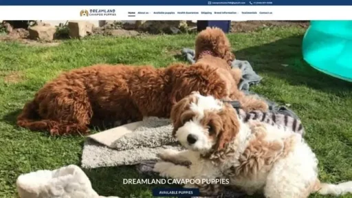 Screenshot of