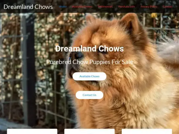 Screenshot of