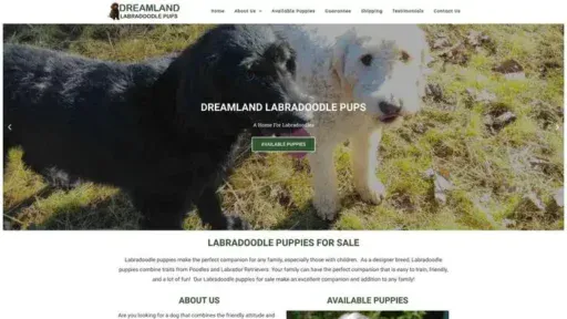 Screenshot of