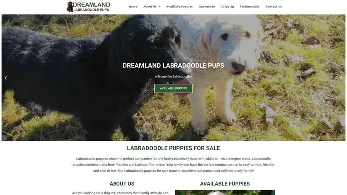 Screenshot of