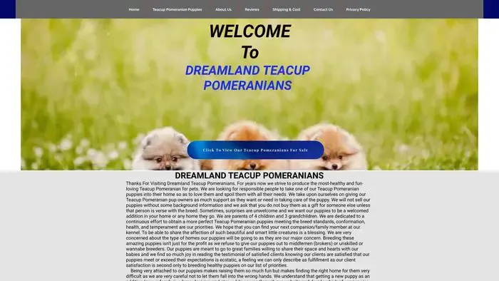 Screenshot of