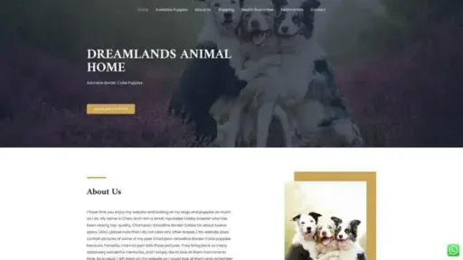 Screenshot of