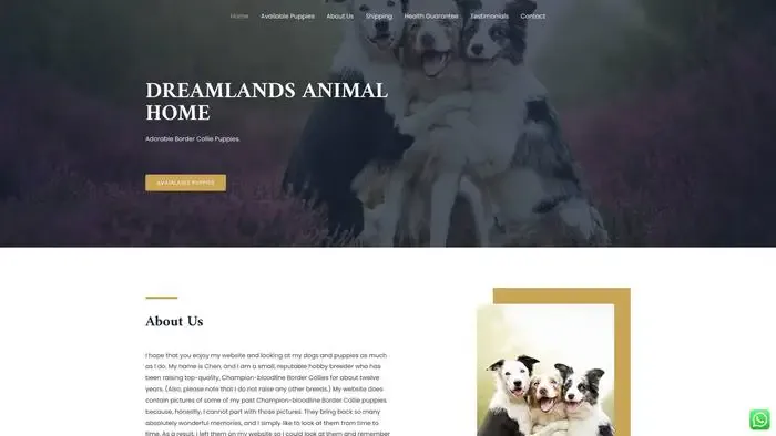 Screenshot of