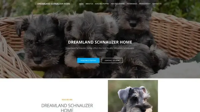 Screenshot of