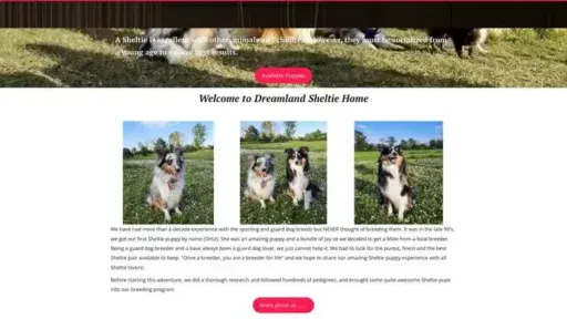Screenshot of