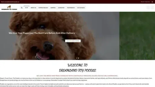 Screenshot of
