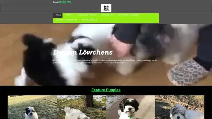 Screenshot of