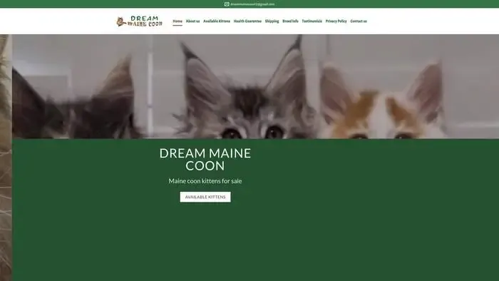 Screenshot of