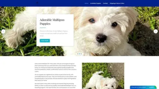 Screenshot of