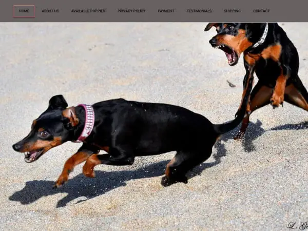 Screenshot of