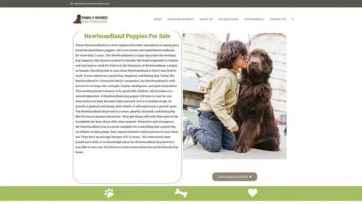 Screenshot of||