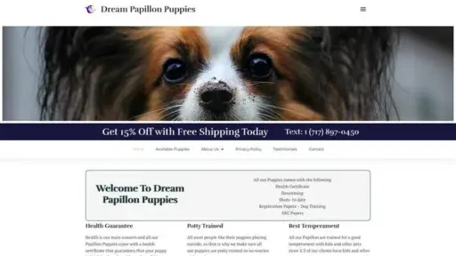 Screenshot of