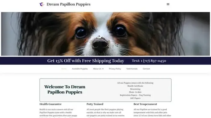 Screenshot of
