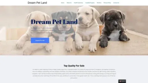 Screenshot of