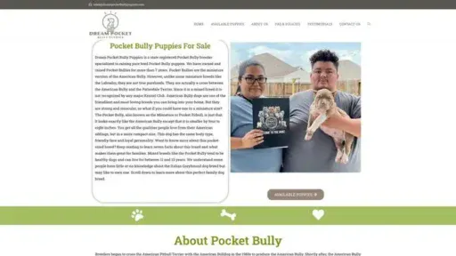 Screenshot of