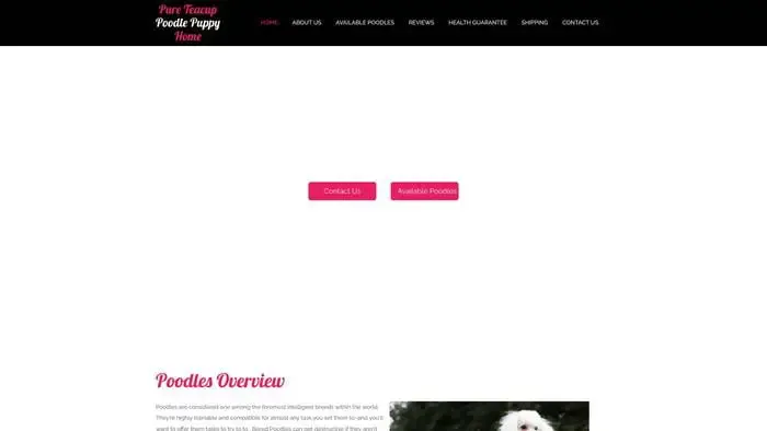 Screenshot of