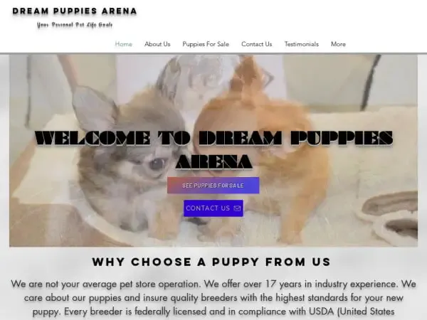 Screenshot of