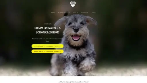 Screenshot of