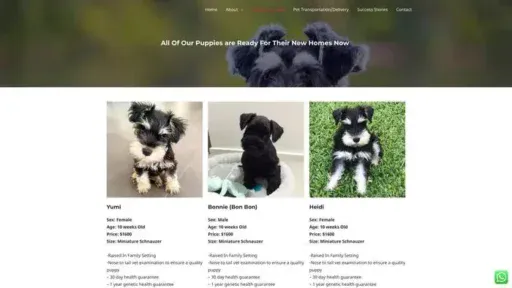 Screenshot of