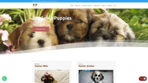 Screenshot of