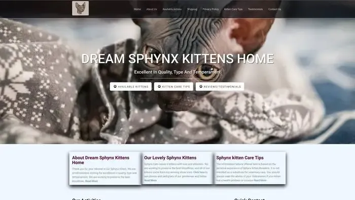 Screenshot of