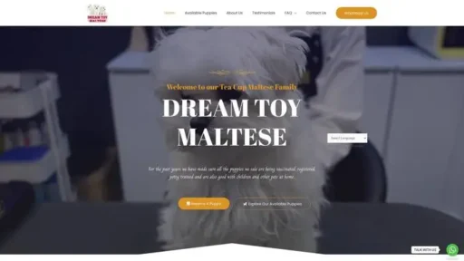 Screenshot of