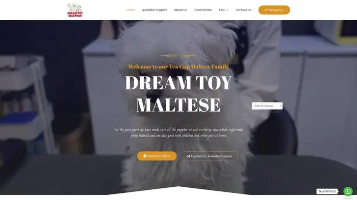 Screenshot of
