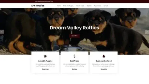 Screenshot of