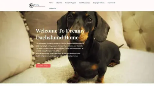 Screenshot of