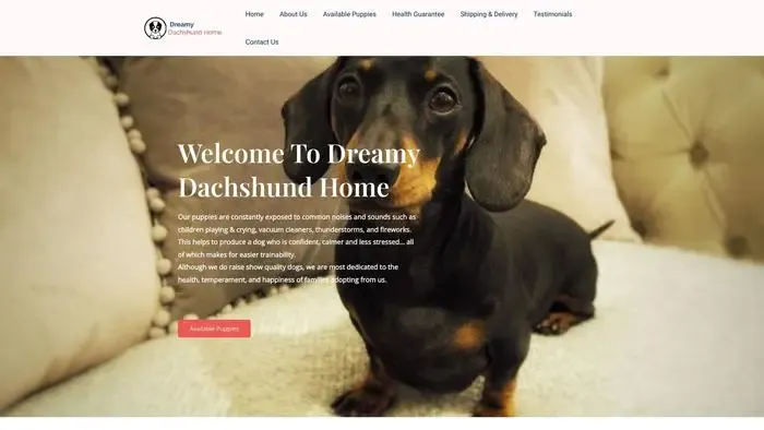 Screenshot of