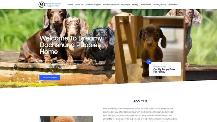 Screenshot of
