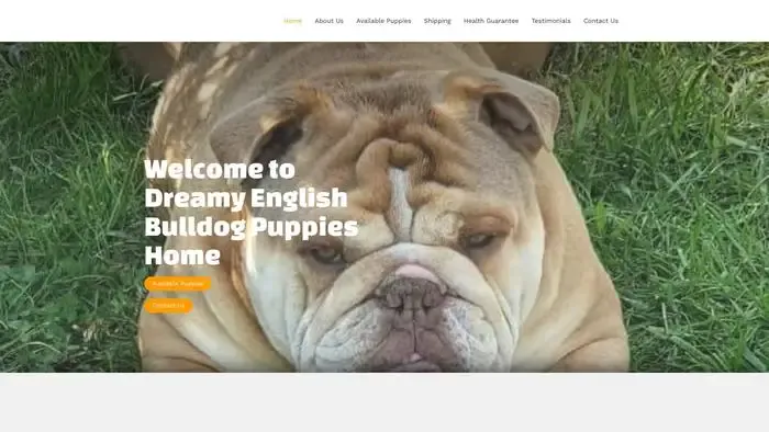 Screenshot of