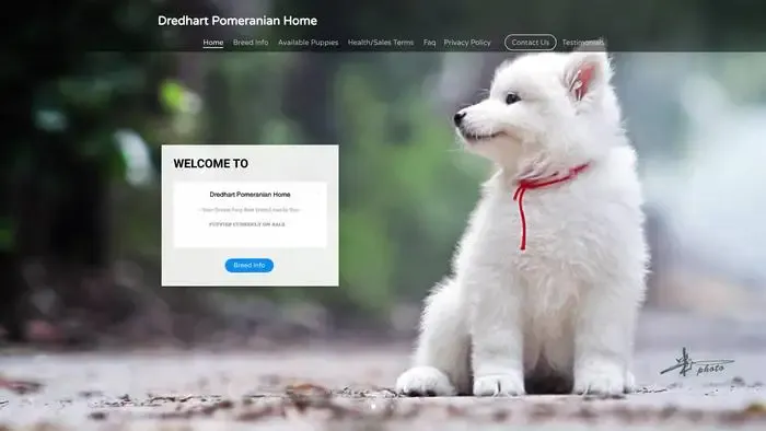 Screenshot of
