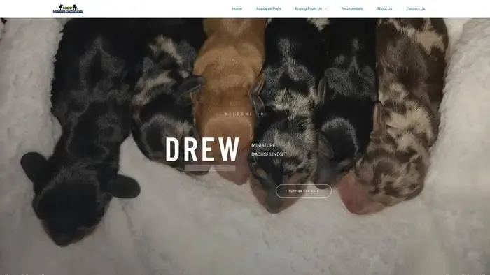 Screenshot of