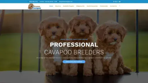 Screenshot of