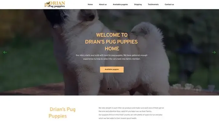 Screenshot of|