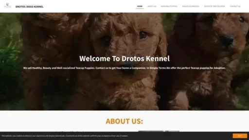 Screenshot of