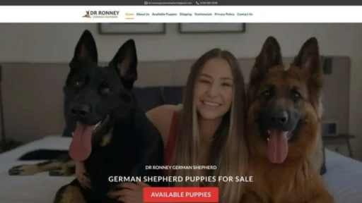 Screenshot of||