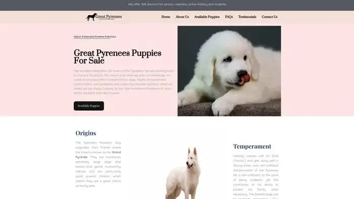 Screenshot of