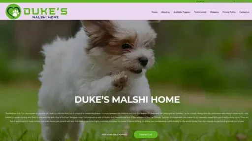 Screenshot of