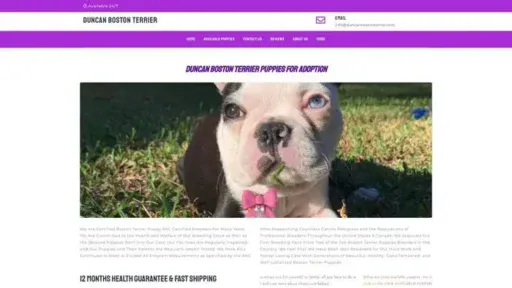 Screenshot of