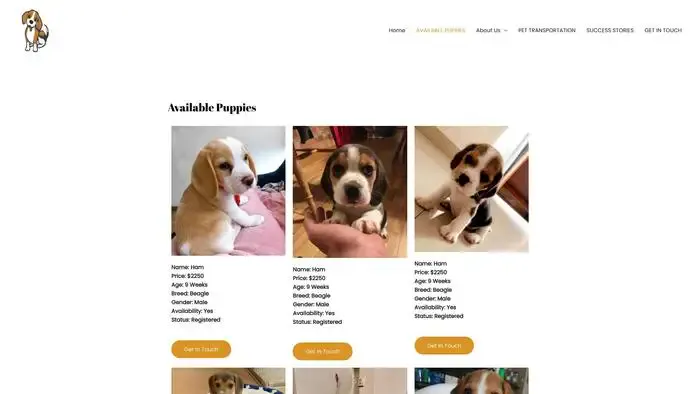 Screenshot of