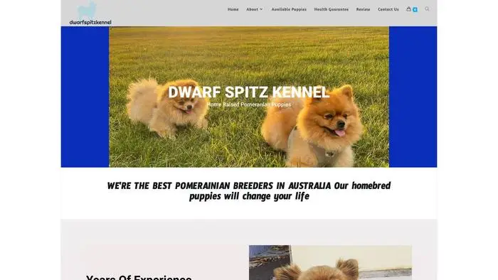 Screenshot of