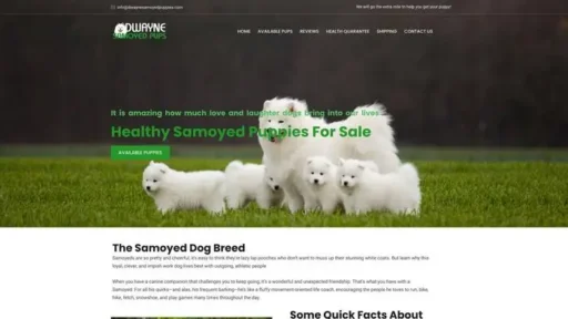 Screenshot of