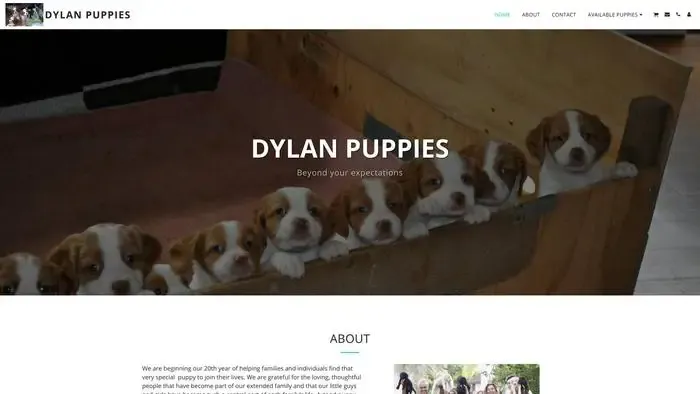 Screenshot of