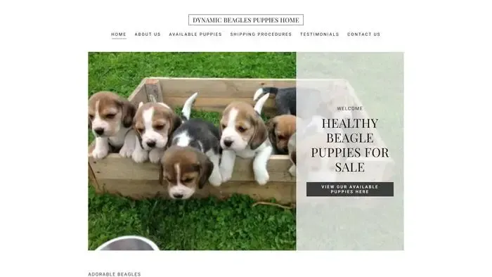 Screenshot of